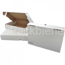 Maxibriefkartons Maxibrief 350x250x50 MB1W WEISS (200 Stk.)