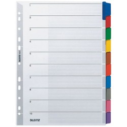 Register Leitz 4321 Blanko A4 Karton 10Bl grau Tabs farbig /1St