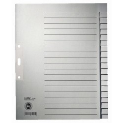 Register Leitz 1220 Blanko A4 Papier 300x240 20 Blatt grau /1 St