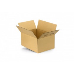 Kartons 300x215x140mm EP2C...