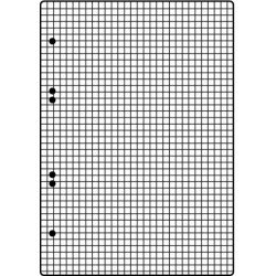 Ringbuch-Einlage A5 6fach Lochung 70g weiß kariert 50 Blatt