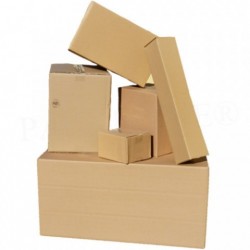 Karton Post-Päckchen-Faltkarton 590x290x140mm variable Höhe (100 Stück)