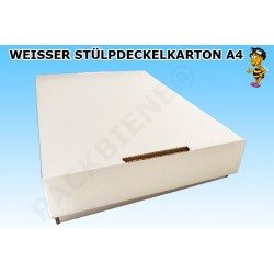 Weisser Stülpdeckelkarton DIN A4 312x210x47mm Verpackung /50mm (100 Stk)