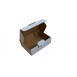 Maxibriefkartons Maxibrief 150x105x45 MBA6 Farbe WEISS (100 Stk.) / DIN A6